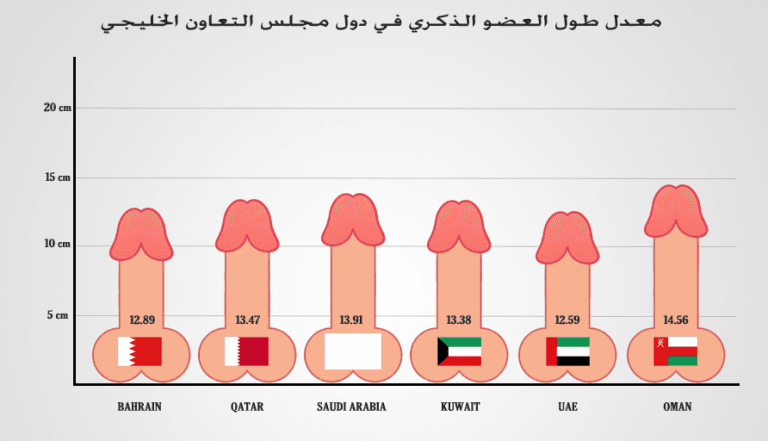 Average penis size