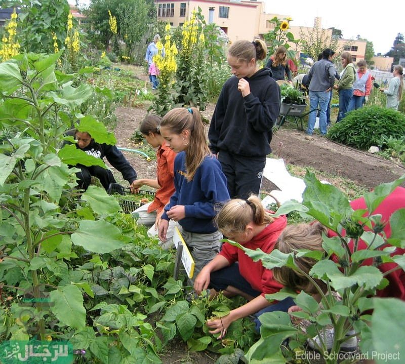 مساعدة البيئة